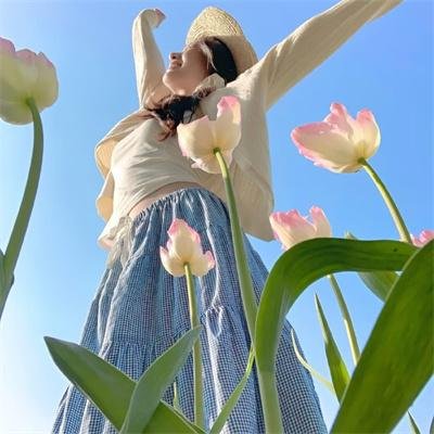 莫里埃尔 在线观看